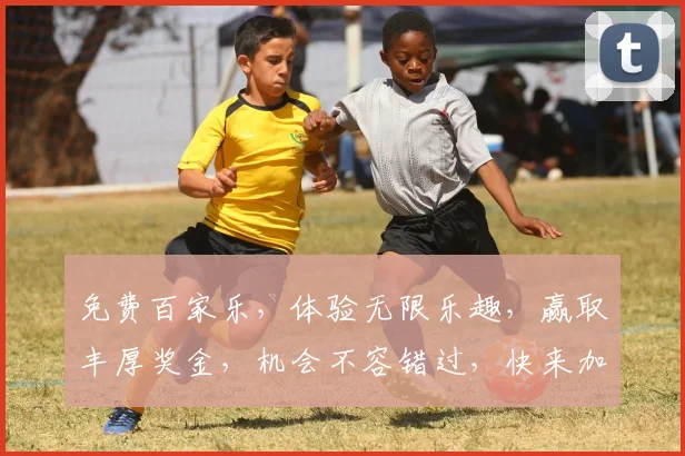 免费百家乐，体验无限乐趣，赢取丰厚奖金，机会不容错过，快来加入