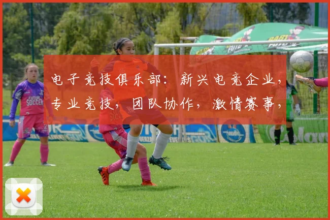 电子竞技俱乐部：新兴电竞企业，专业竞技，团队协作，激情赛事，三足鼎立，引领潮流。