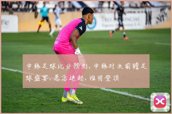 中韩足球比分预测,中韩对决前瞻足球盛宴,悬念迭起,谁将登顶