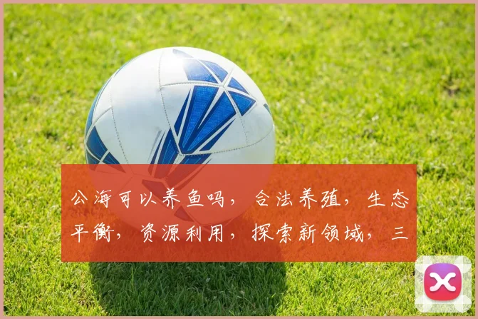 公海可以养鱼吗，合法养殖，生态平衡，资源利用，探索新领域，三大关注点，不容忽视