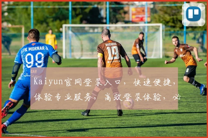 Kaiyun官网登录入口，快速便捷，体验专业服务，高效登录体验，必看攻略