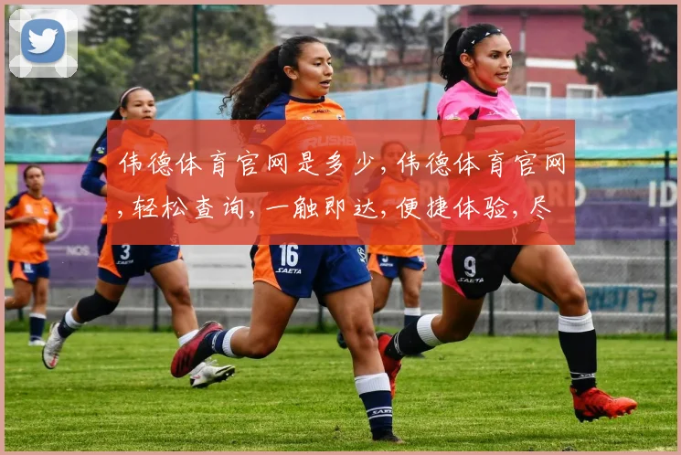伟德体育官网是多少,伟德体育官网,轻松查询,一触即达,便捷体验,尽在其中。