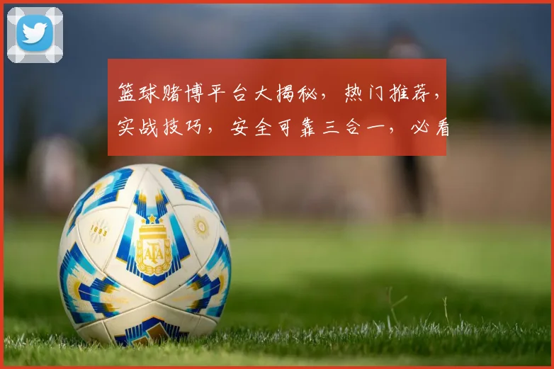 篮球赌博平台大揭秘，热门推荐，实战技巧，安全可靠三合一，必看