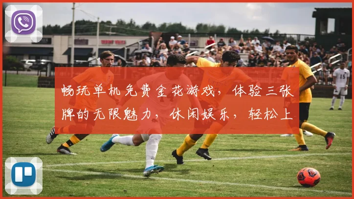 畅玩单机免费金花游戏，体验三张牌的无限魅力，休闲娱乐，轻松上手